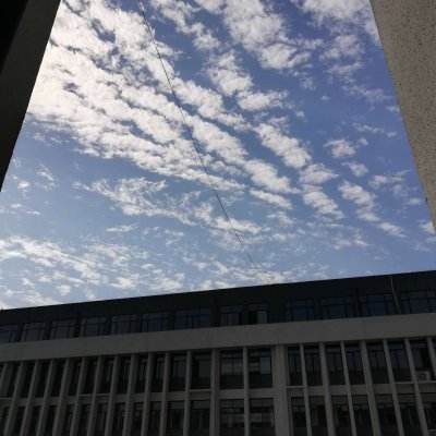 天博网页版入口平台